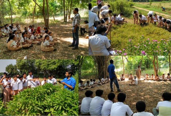 Importance of Carbon Market Awareness